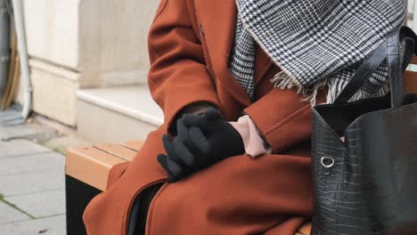 woman wearing gloves and a scarf