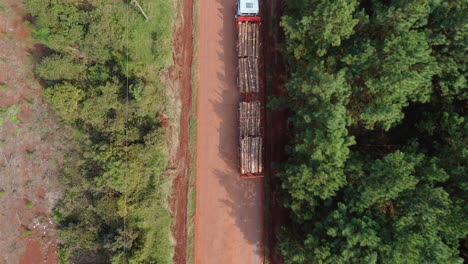 timber truck transporting harvested logs along in rural dirt road, drone shot