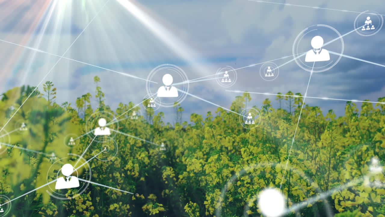 Network of connections and data processing animation over green field landscape