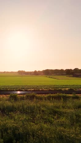 train passing through green fields at golden hour