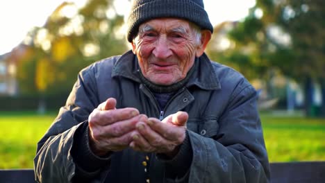 an elderly man with a warm smile gently extends his hands, inviting connection with nature as the sunlit garden backdrop showcases a serene atmosphere of joy and kindness.