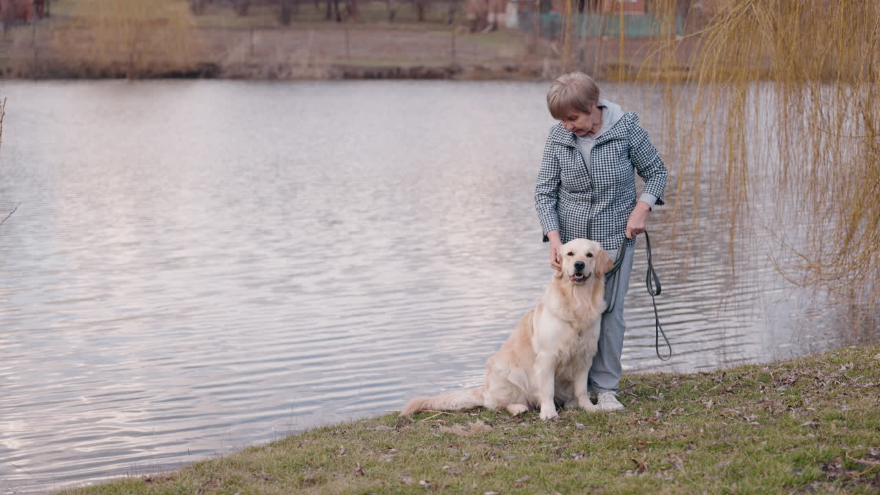 호수 근처 에 있는 골든 리트리버 와 함께 있는 고위 여성