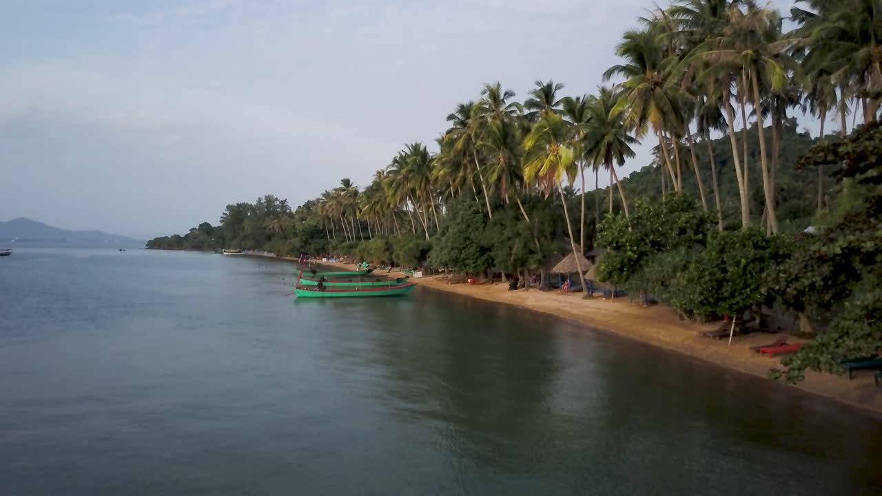 Tropical Beach with Palm Trees and Boat