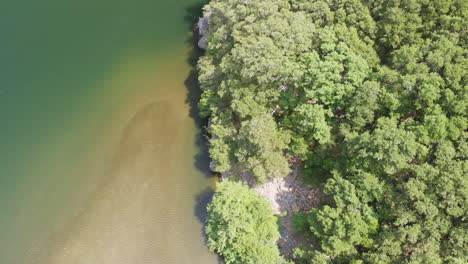 vuelo aéreo mirando hacia la playa y el bosque de la orilla del río, 23