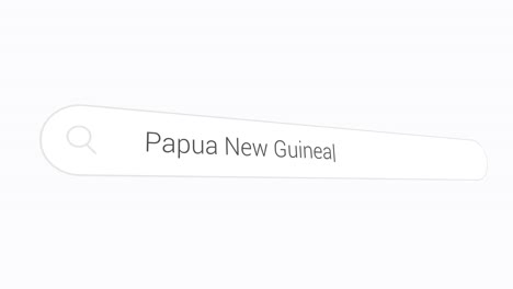 searching papua new guinea in computer website - internet browsing
