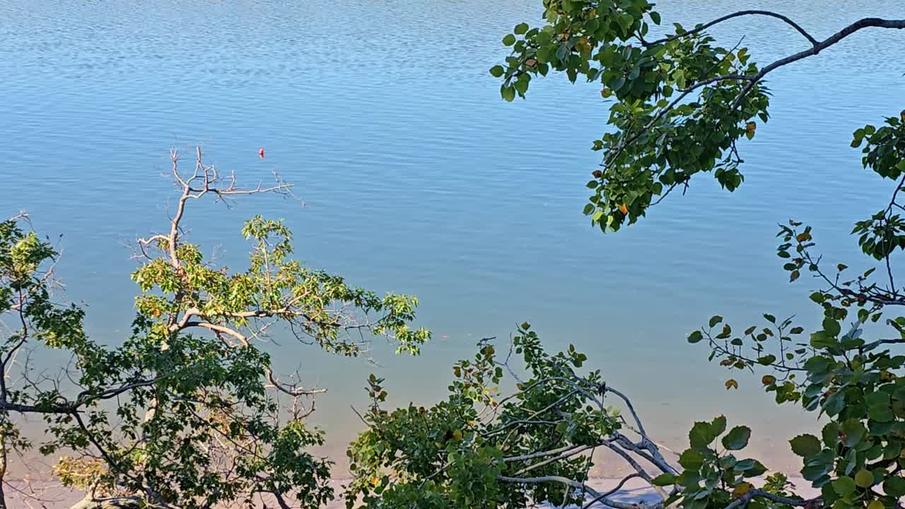 Falmouth, Maine Audubon nature preserve trail looking across the Presumpscott River to Portland, Maine