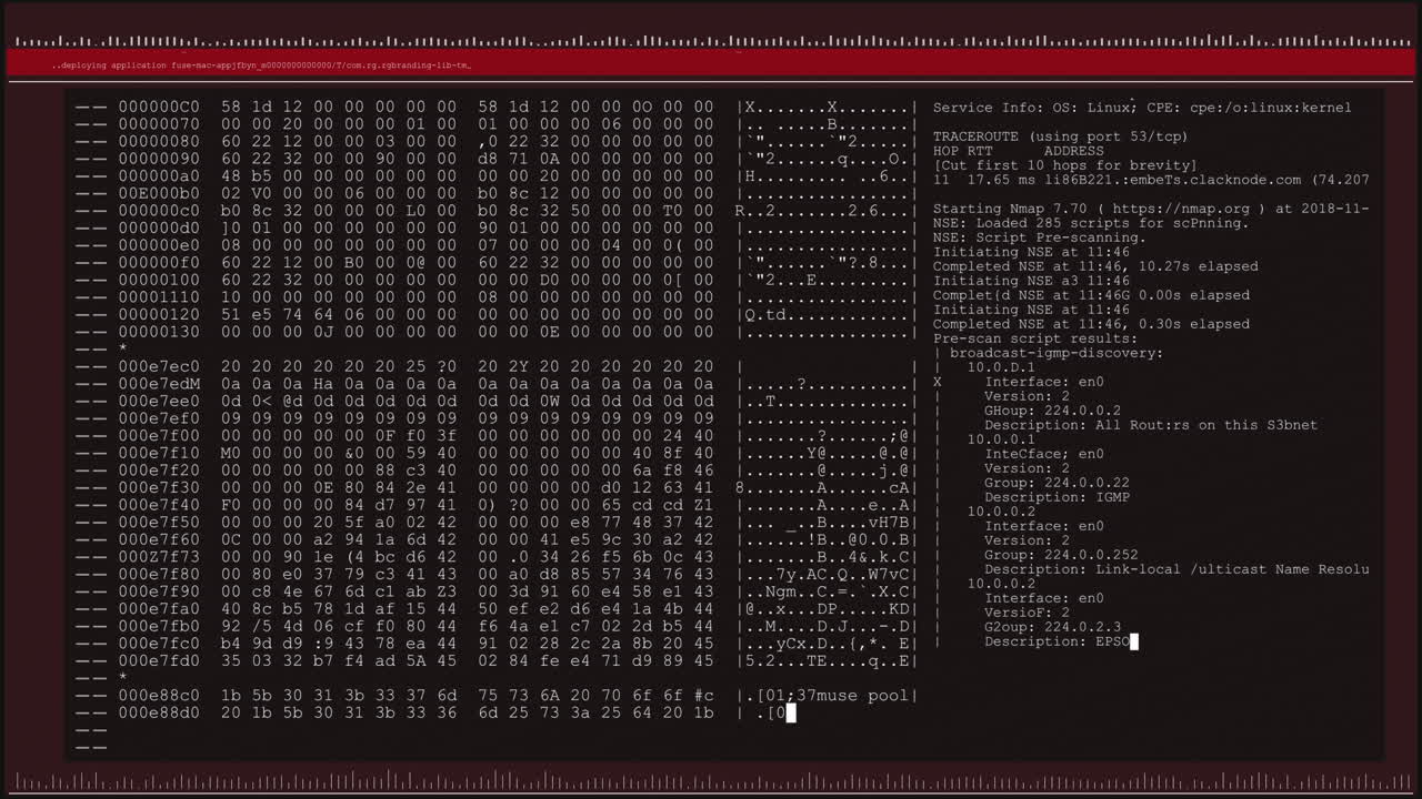 Animation of data processing on black and red computer screen