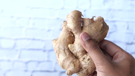 fresh ginger root