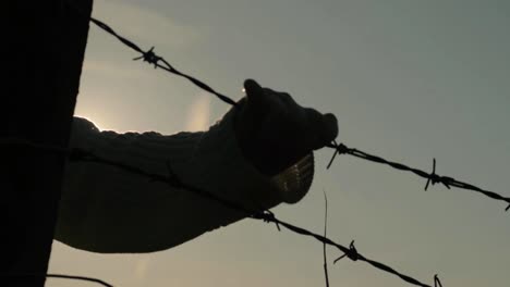 trapped behind barbed wire fence as sun sets