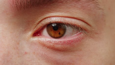 close-up of a person's eye