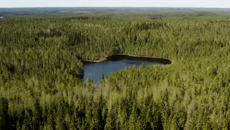 Luftaufnahme-Mit-Blick-Auf-Einen-Kleinen-Teich,-Heller,-Sonniger-Tag,-Im-Helvetijarvi-Nationalpark,-Ruovesi,-Pirkanmaa,-Finnland---Nach-Unten-Kippen,-Drohnenaufnahme