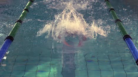 nadador en forma haciendo el golpe de mariposa en la piscina