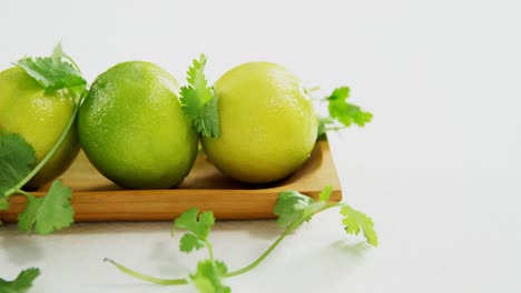 Lime-fruits-in-a-tray-with-coriander-leaf-4k