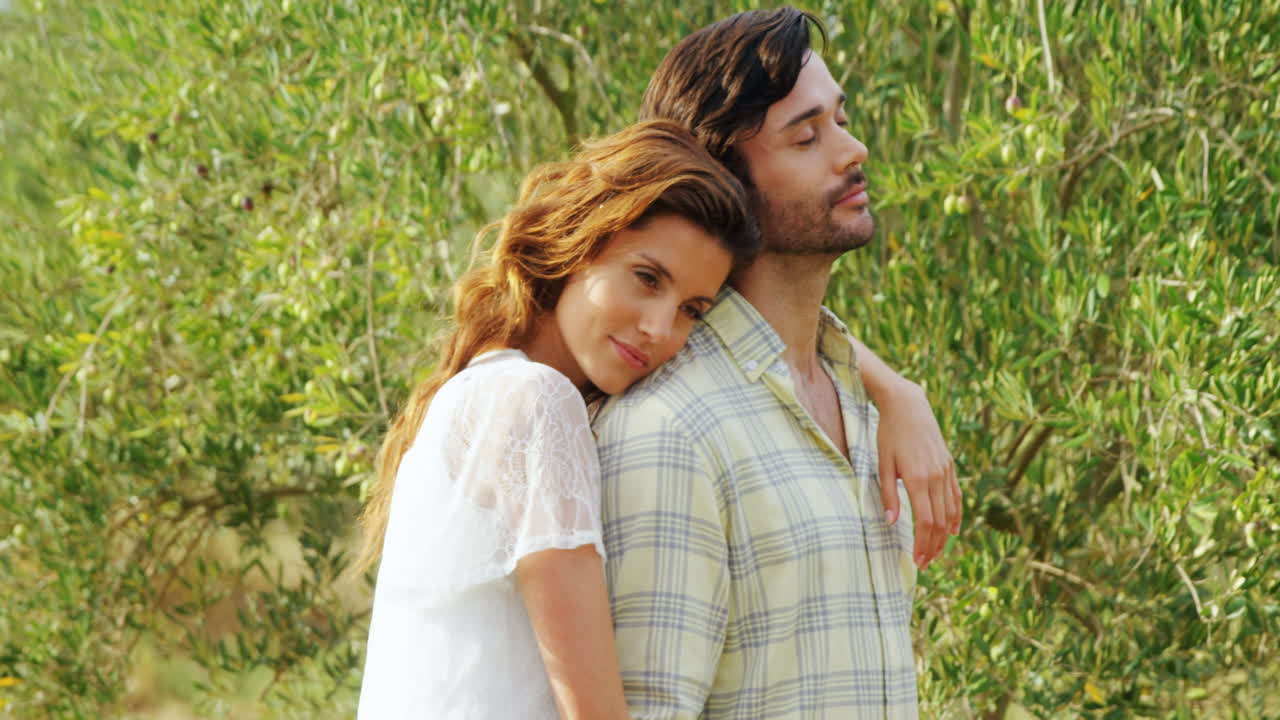 올리브 농장에서 서로 포옹하는 로맨틱 한 커플 4k