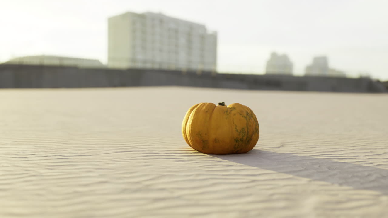 Unique pumpkin rests on sandy surface under soft evening light