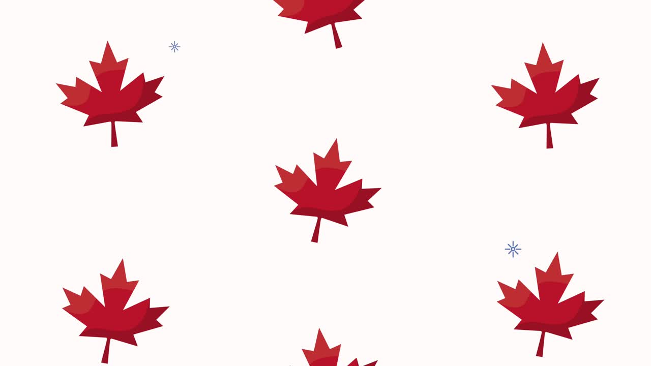celebrazione canadese con disegno di foglie d'acero