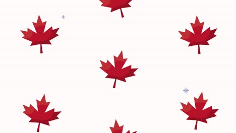 celebración de canada con patrón de hojas de arce