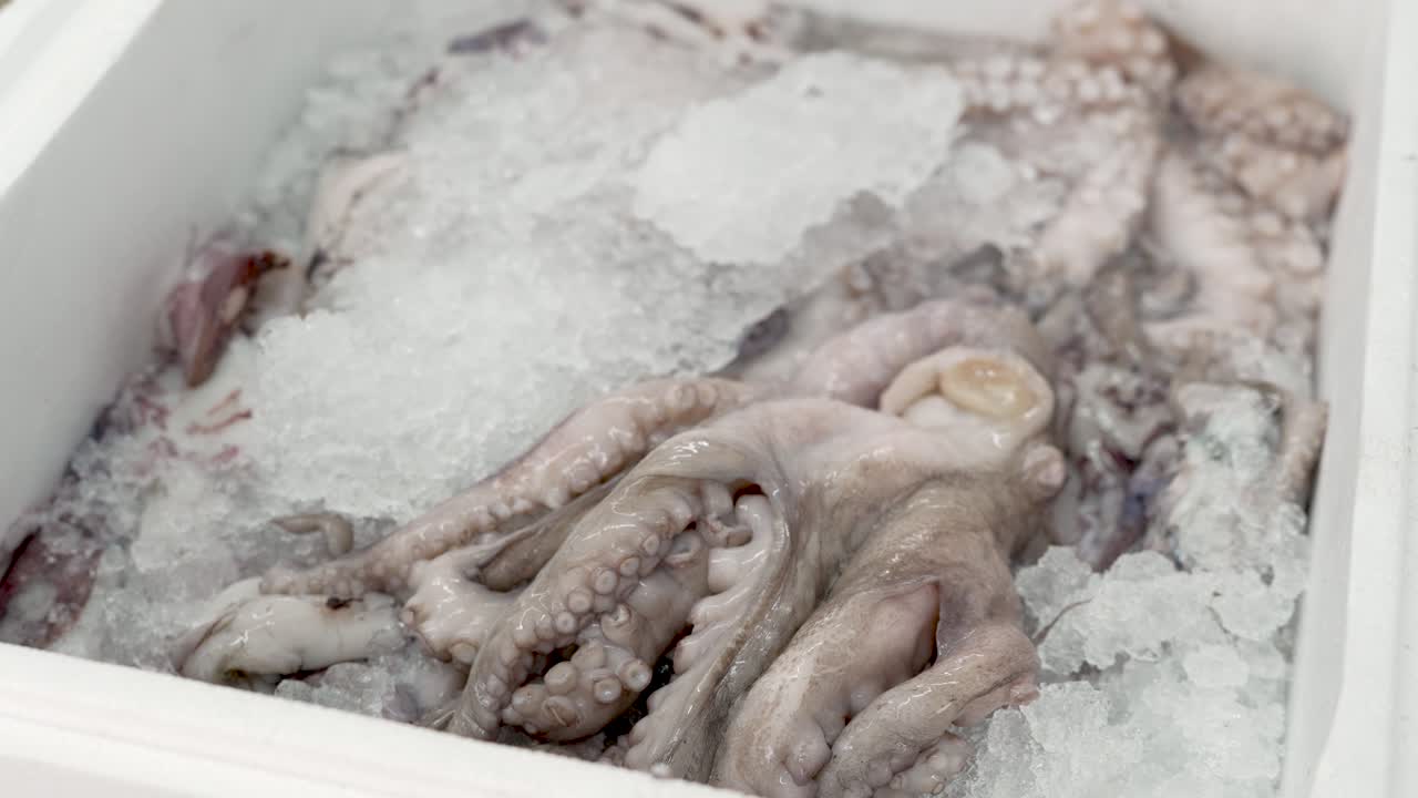 Caught from the ocean, a batch of freshly caught octopus rests on a bed of ice in a vibrant market. This scene captures the essence of seafood preparation and the excitement of local cuisine