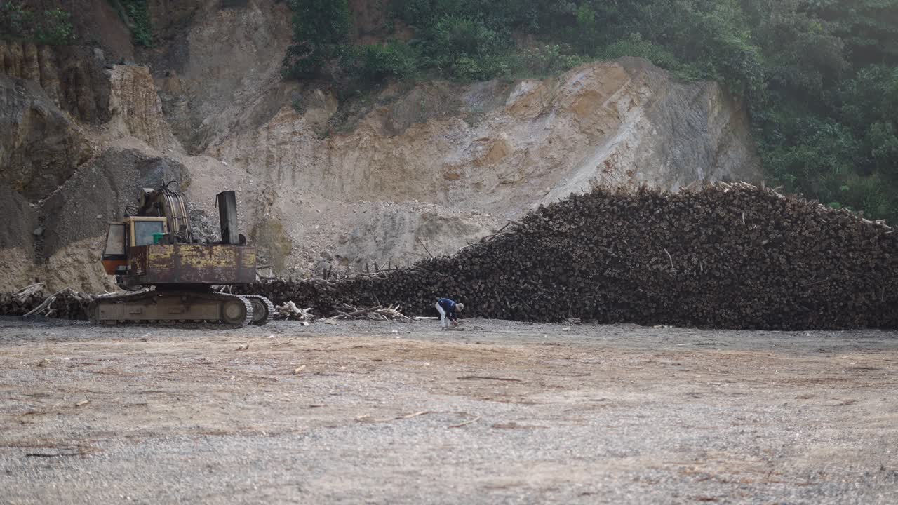 Logging operation with excavator and workers