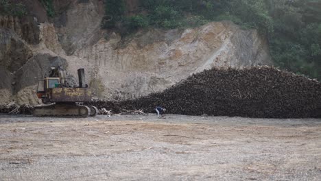 logging operation with excavator and workers