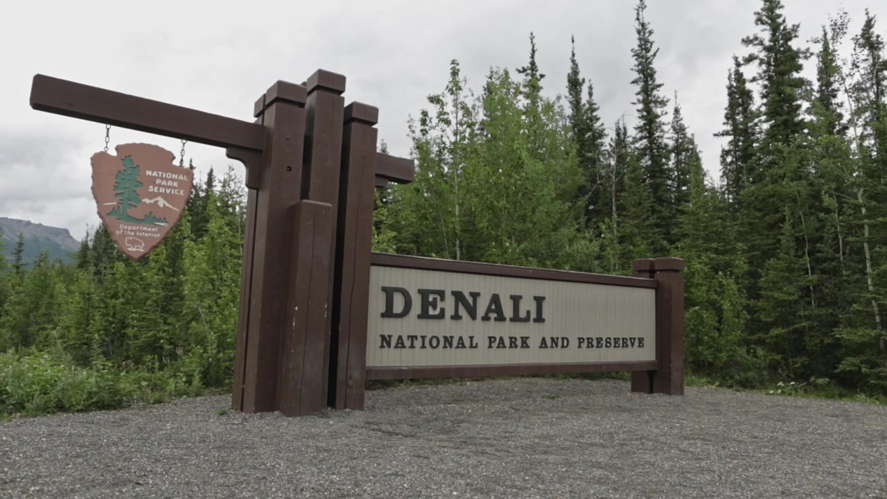 Ripresa fissa del cartello d'ingresso del Denali National Park and Preserve sullo sfondo di una fitta foresta di sempreverdi sotto un cielo coperto