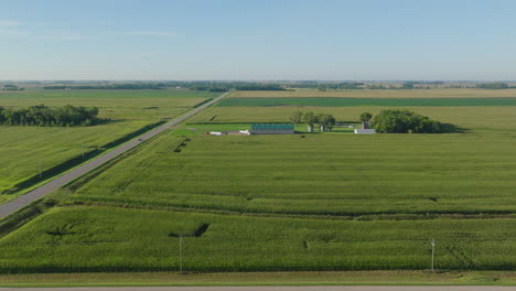 aerial panorama captures expansive rural cornfield under daylight