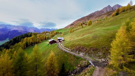 Un-Drone-Fpv-Vuela-Entre-Alerces-Dorados,-Dirigiéndose-Hacia-Cabañas-Rústicas-De-Montaña-En-Tirol-Del-Sur,-Italia,-Mostrando-Los-Vibrantes-Tonos-Del-Otoño