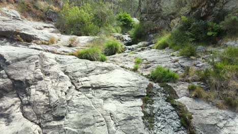 recorrido río arriba en un bosque del interior de galicia mostrando las consecuencias del calor en verano