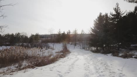 toma panorámica a través de un sendero forestal suburbano