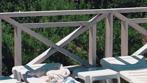 white butterflies fly near the lounger which is located next to the beach