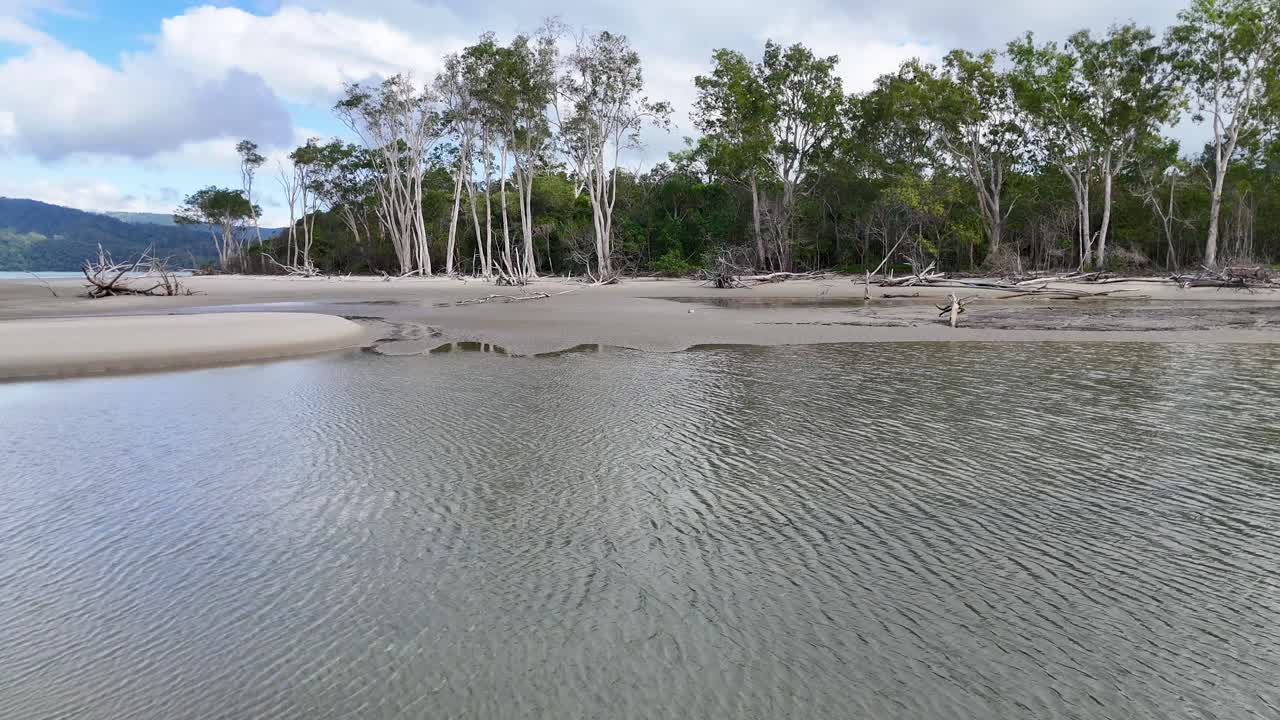 Drone glides toward mangrove trees over tidal flats, bright daylight, calm, wide landscape view