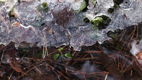 ice block and sticks in river