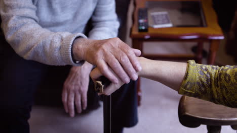 elderly care and support