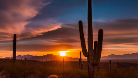 desert sunset with saguaro cacti