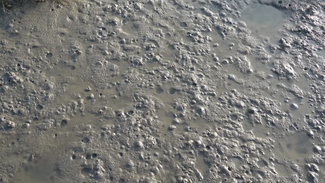 tiro cinemático inclinado hacia arriba desde el pantano de manglares que captura la textura del suelo, revela una fila de turbinas eólicas girando en el fondo en el área de preservación de humedales de gaomei en taichung, taiwán, aisa