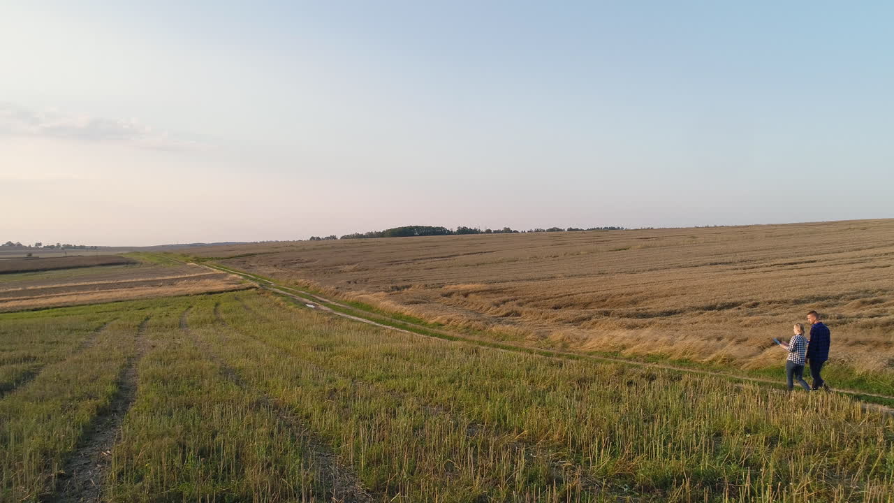 молодые фермеры обсуждают на кукурузном поле 37