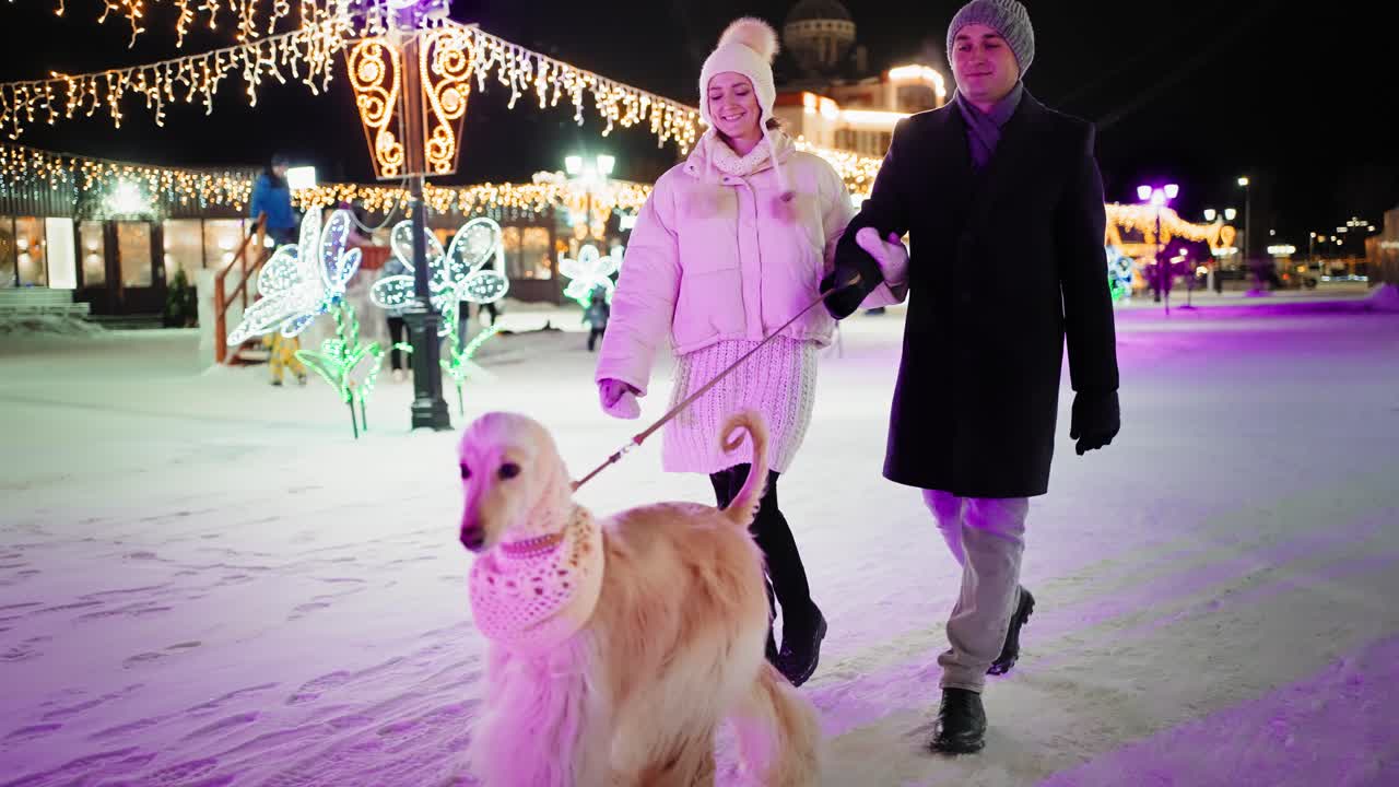 Couple Walking Dog in Winter Night City