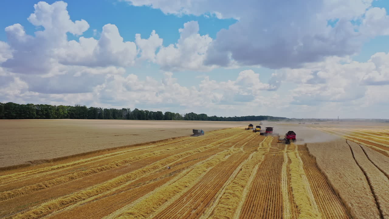 Modern machinery working on the field. Agricultural combine harvesters gathering ripe crop. Seasonal works. Aerial view.