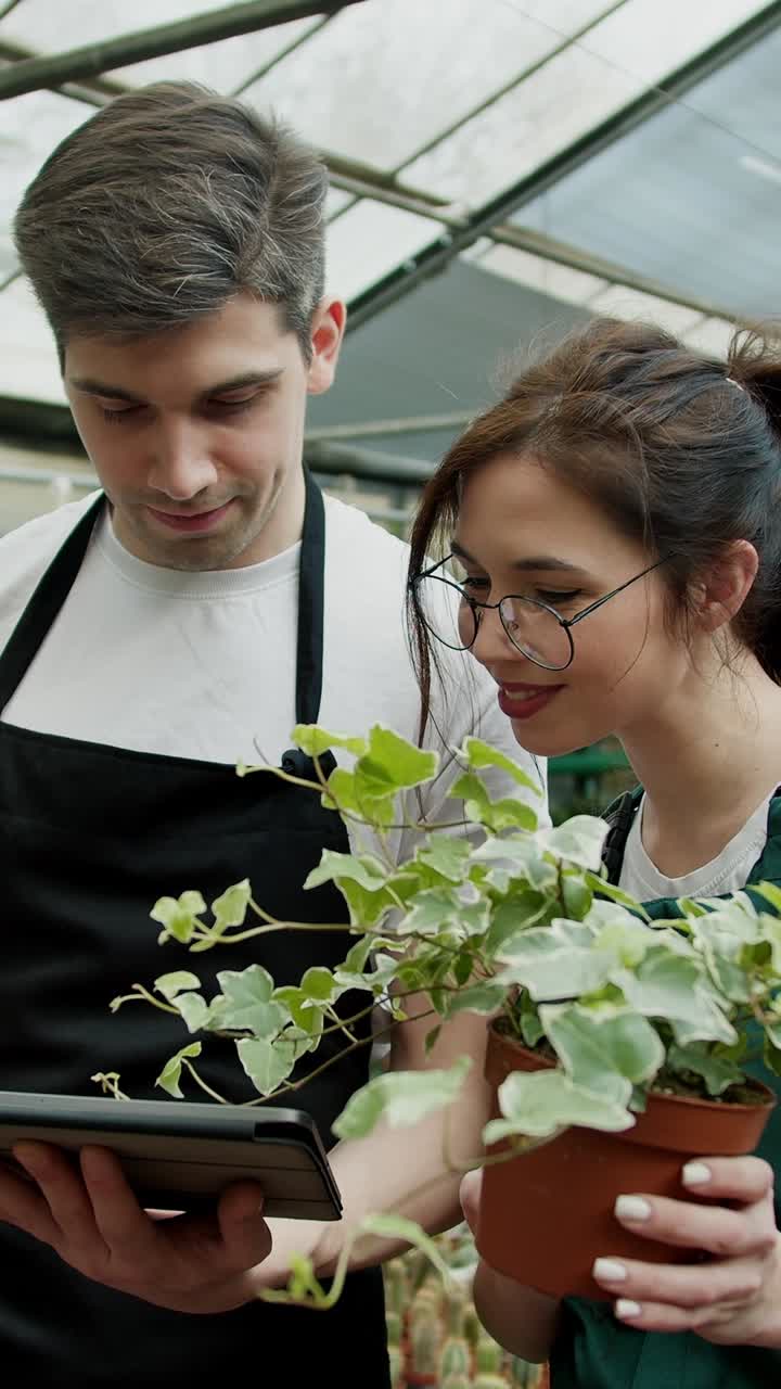 Garden Center Staff Examining a Plant