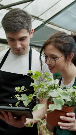 garden center staff examining a plant