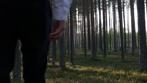 man walks between trees in a forest, real-time