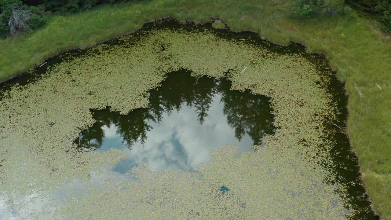 cielo reflexionando sobre el pequeño lago verde nebeska suza -lágrima de refugio en la montaña golija, ivanjica, serbia