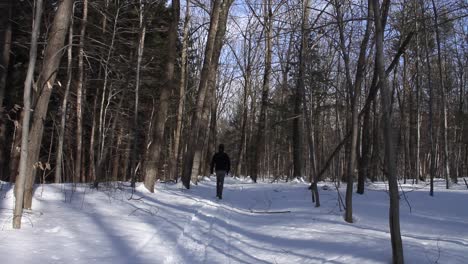 Young-Man-In-Black-Clothes-Alone-Slowly-Walking-On-Snow-Covered-Sidewalk-Through-Alley-Of-Trees---wide-shot