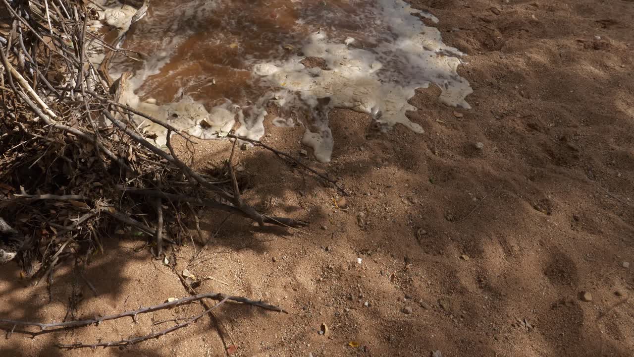 a river in first flood