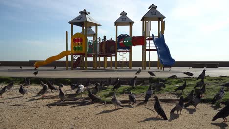 pigeons is fly near the playground.