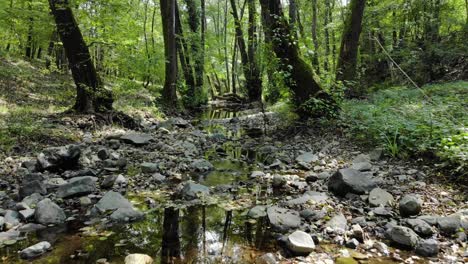 Very-low-drone-footage-of-small-river-in-the-forest,-slow-downstream-movement,-summer-time,-upstream-direction,-Tzarevo,-Bulgaria