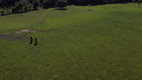 men riding horses through the field