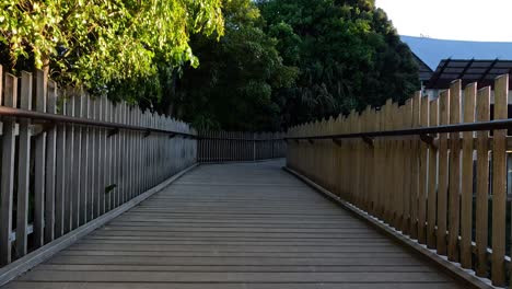 wooden bridge surrounded by lush greenery