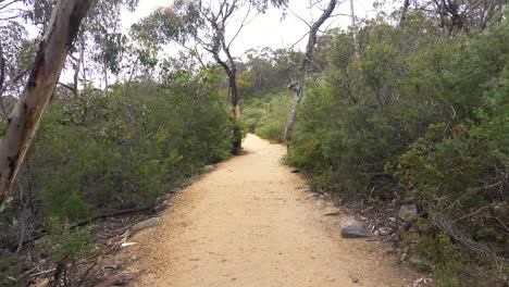 Caminando-Por-El-Camino-A-Través-Del-Desierto-Del-Interior-Australiano