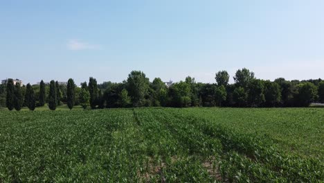 Drone-elevating-from-countryside-to-cityscape-of-Milan